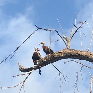 Meet your Posher, Joanne